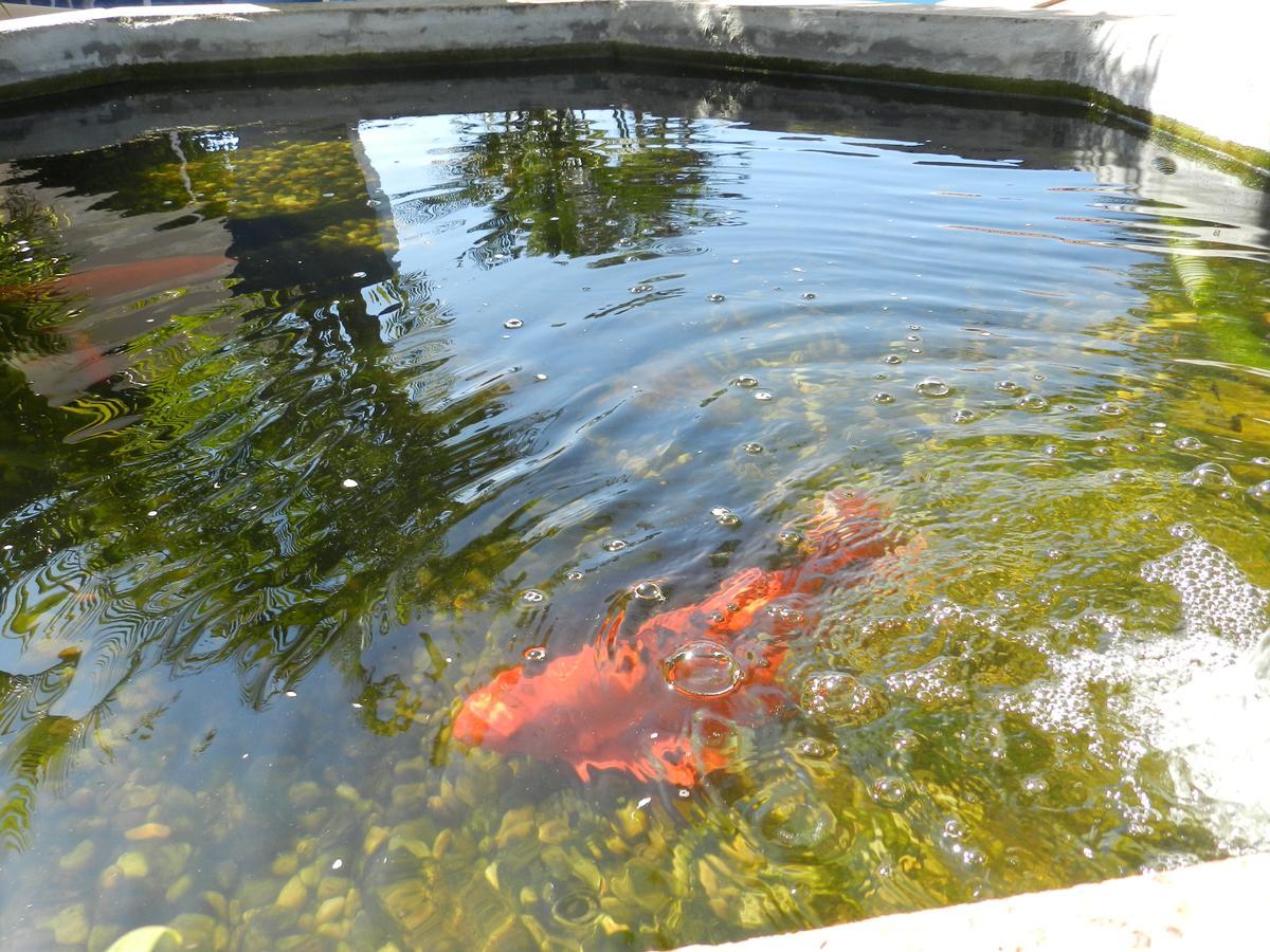 Paradise Inn Hotel カタンドゥーヴァ エクステリア 写真